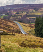 Esk valley in autumn.