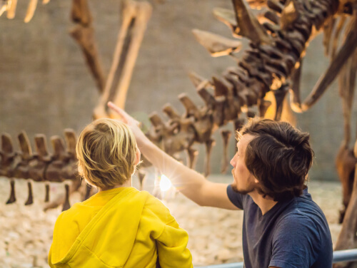A father and son looking at a dinosaur skeleton at a museum