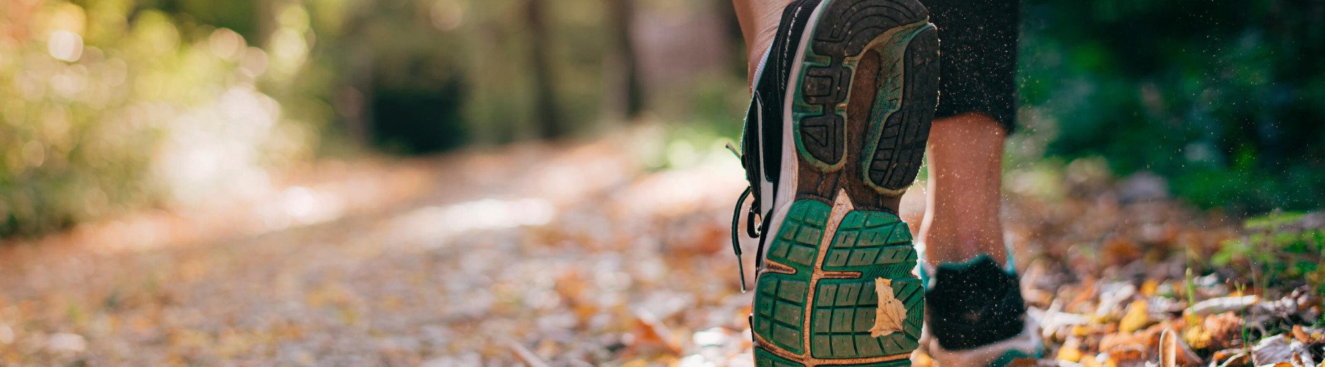 Best running routes in the North