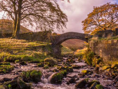 A bridge going over a small creek, the water is rushing over mossy stones.