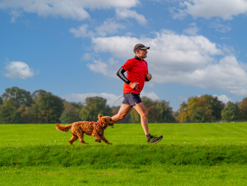 Man wearing a red top and black shorts running in a green field with his small dog
