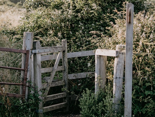 A wooden stile on the Ribblehead Viaduct walk surrounded by trees