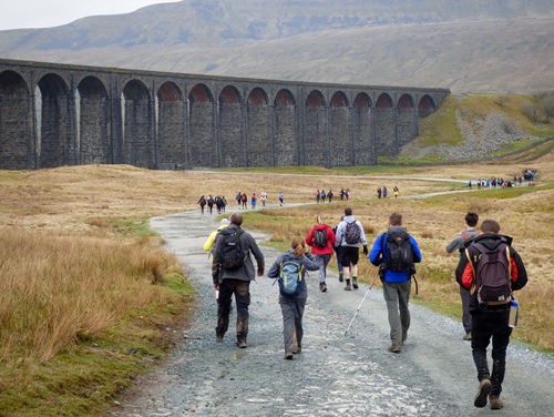 Several groups of walkers on a path beside the Ribblehead Viaduct in the Yorkshire Dales