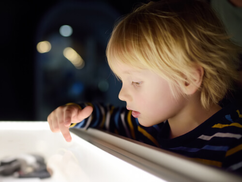 Small blonde child looking in a glass case in a museum