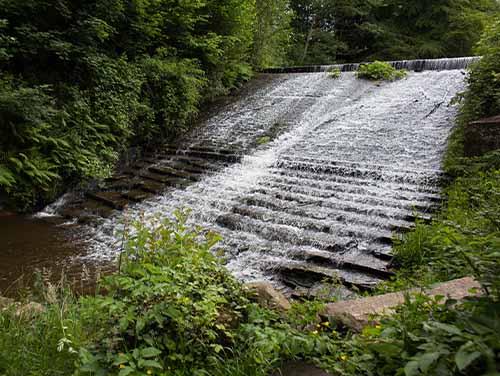 Water flowing down rocks in a woodland