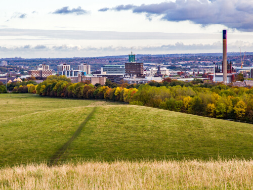 Aerial view of green fields and trees
